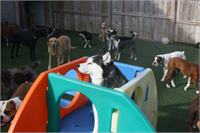 daycare pic 143